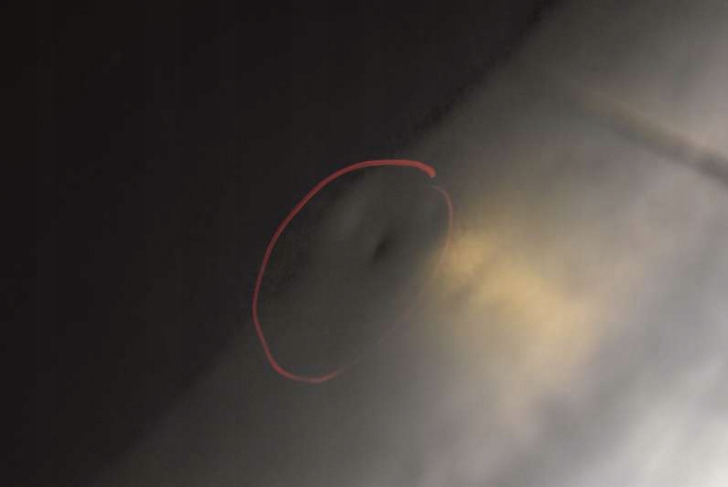 фото №8, Капот кришка двигуна сіра skoda superb 2 ii lift 08-15