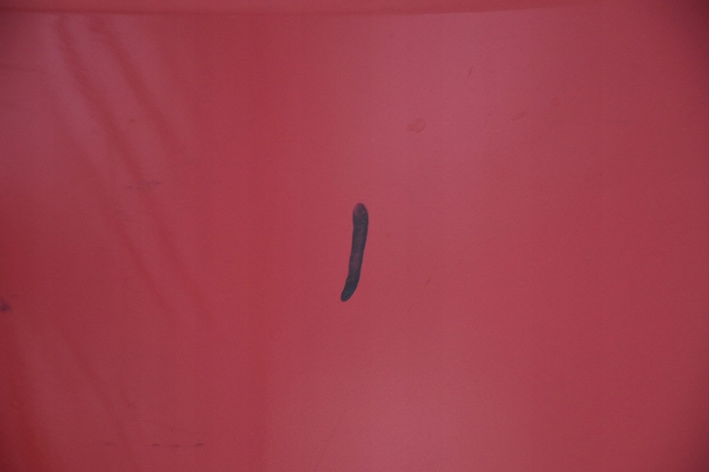 фото №7, Бампер задній задня audi a3 ii 8p 3d