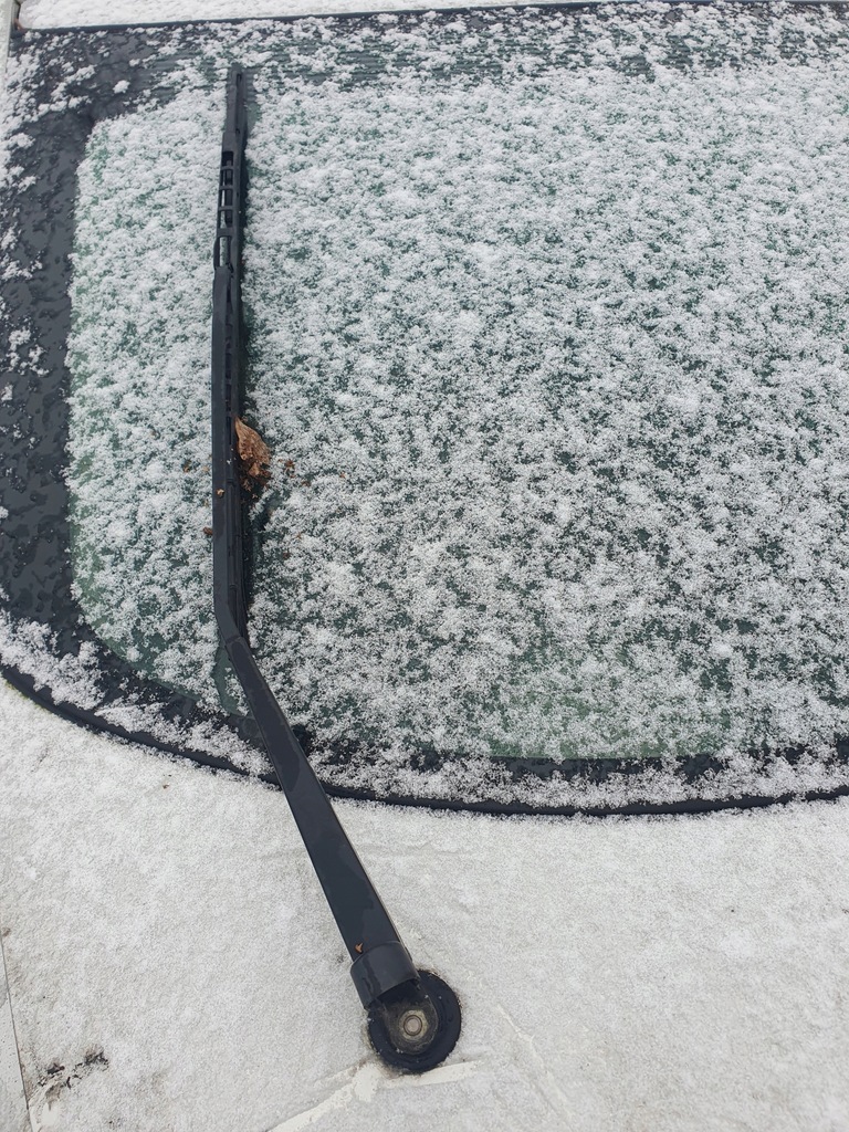 фото №9, Емблема значок з задній кришки ford cougar 98 -2002