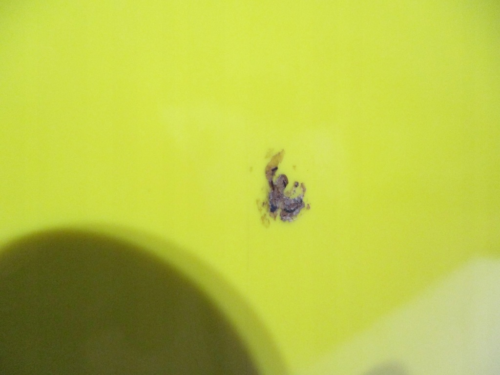 фото №5, Двері ліва передні smart