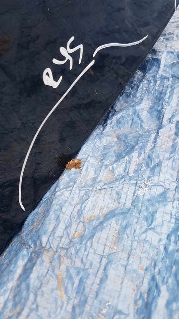 фото №14, Крышка багажника багажника citroen ds5