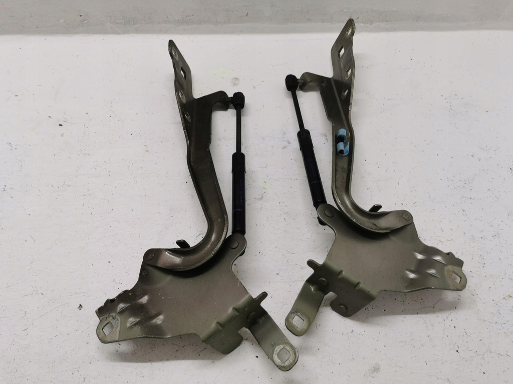 фото №3, Петли капот renault scenic iii 654010004r 08-16