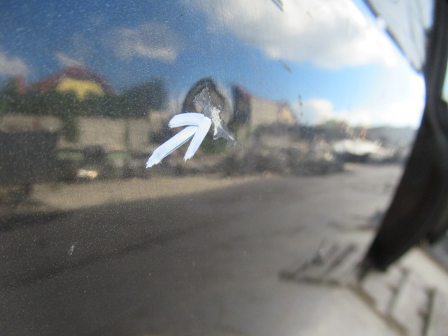 фото №4, Skoda octavia ii двері праве задня