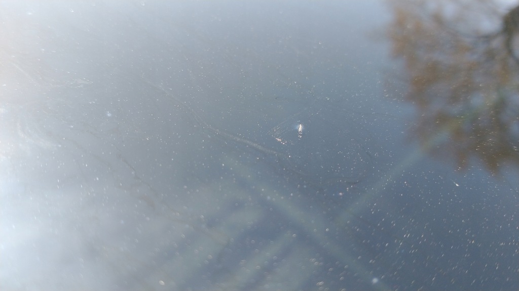 фото №11, Tesla model 3 чверть ліва права задня задня дах панорама