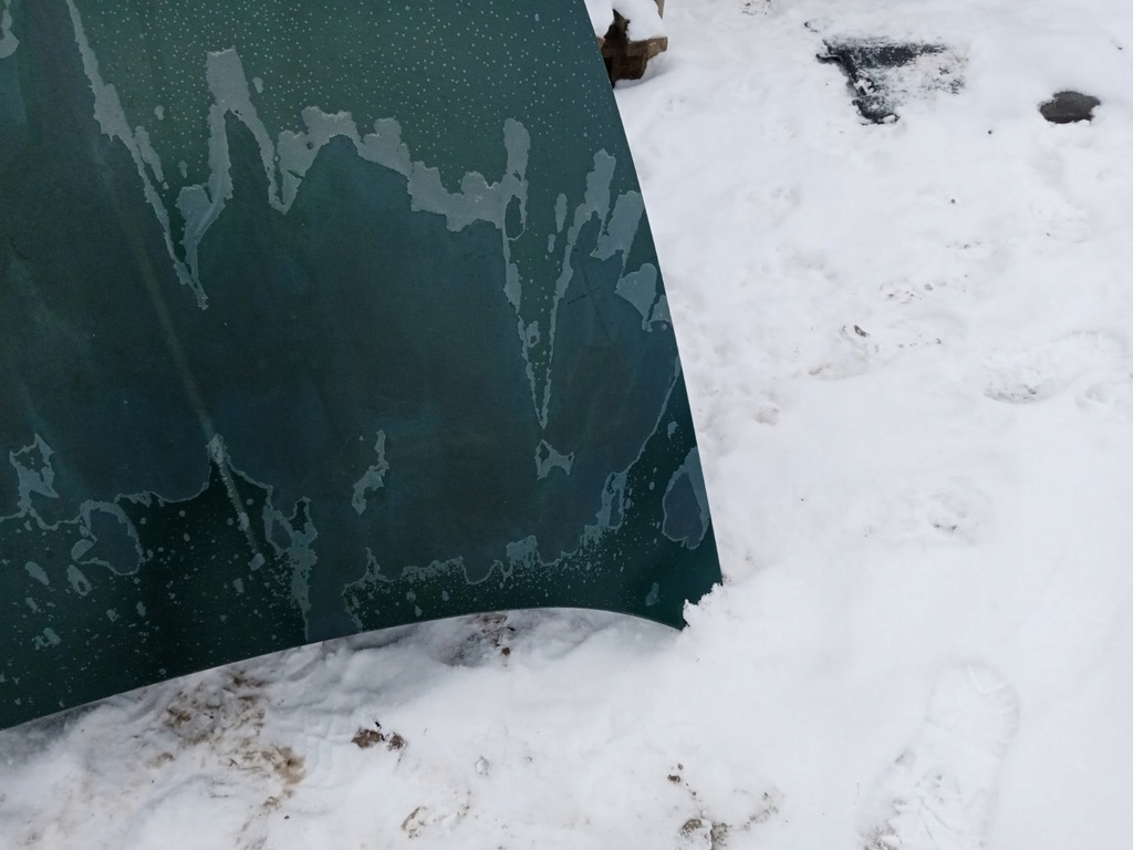 фото №9, Капот кришка двигуна seat leon 1