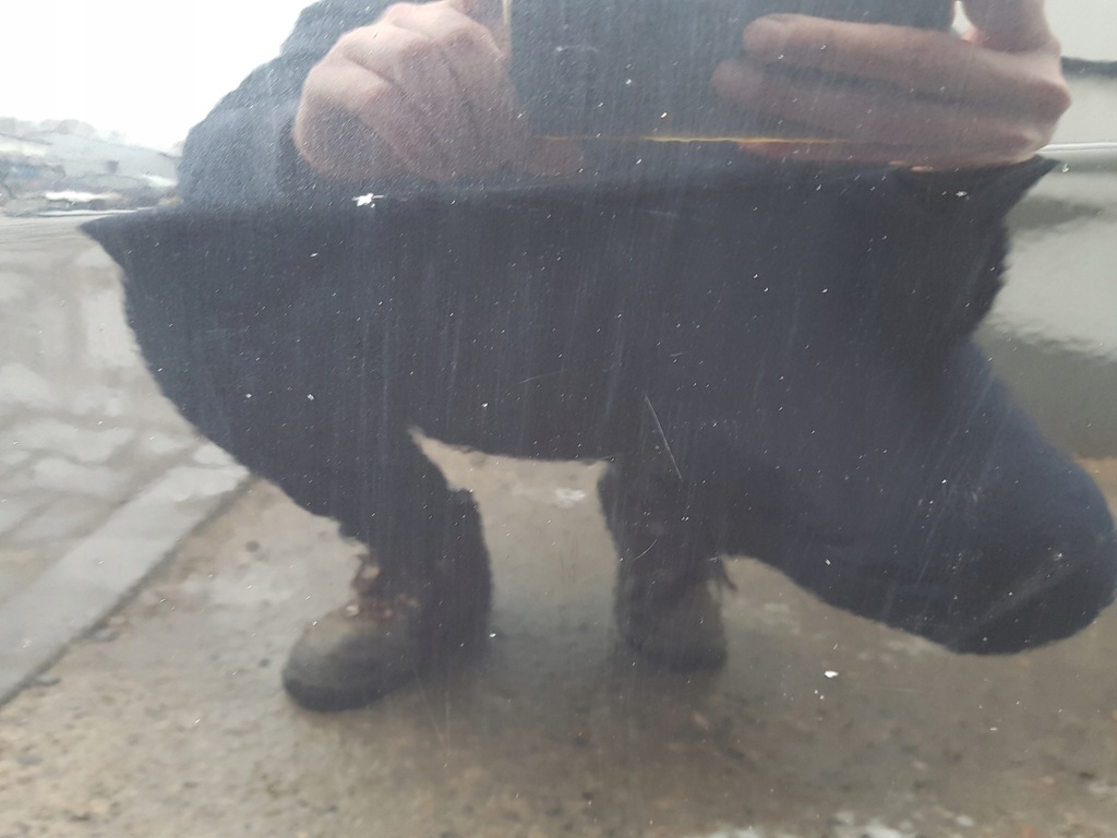 фото №5, Seat leon 2 ii 04-12r двері праве перед lz9y