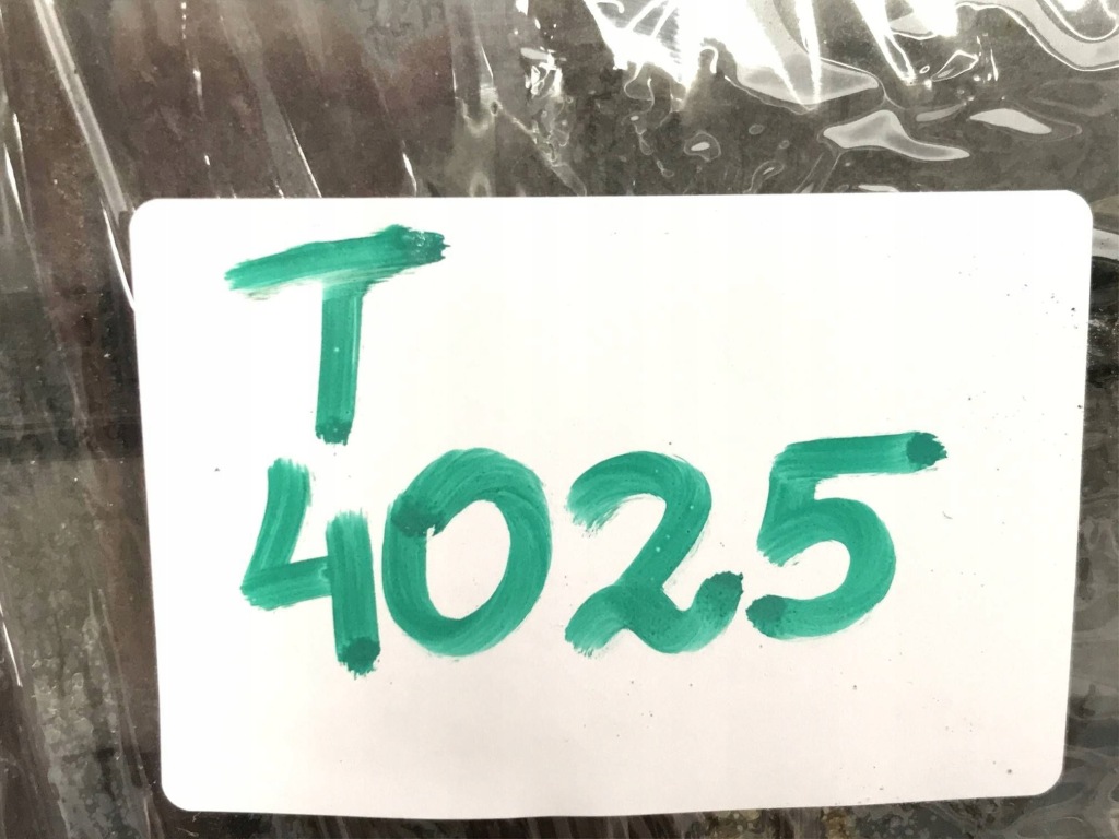 фото №11, Tesla model 3 2021 решітка вентиляційна pod бампером заднім 109875100c