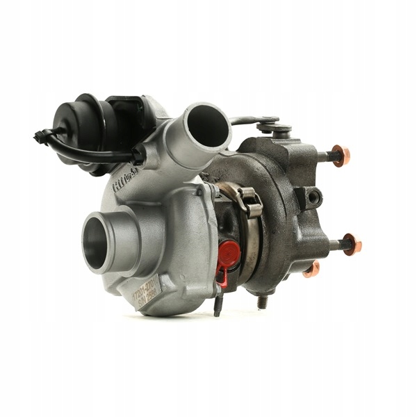 Купити Турбіна турбонагнітач ridex 2234c10319r