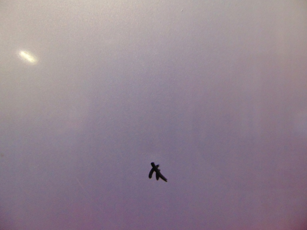 фото №7, Citroen c3 1 i 02- капот кришка двигуна