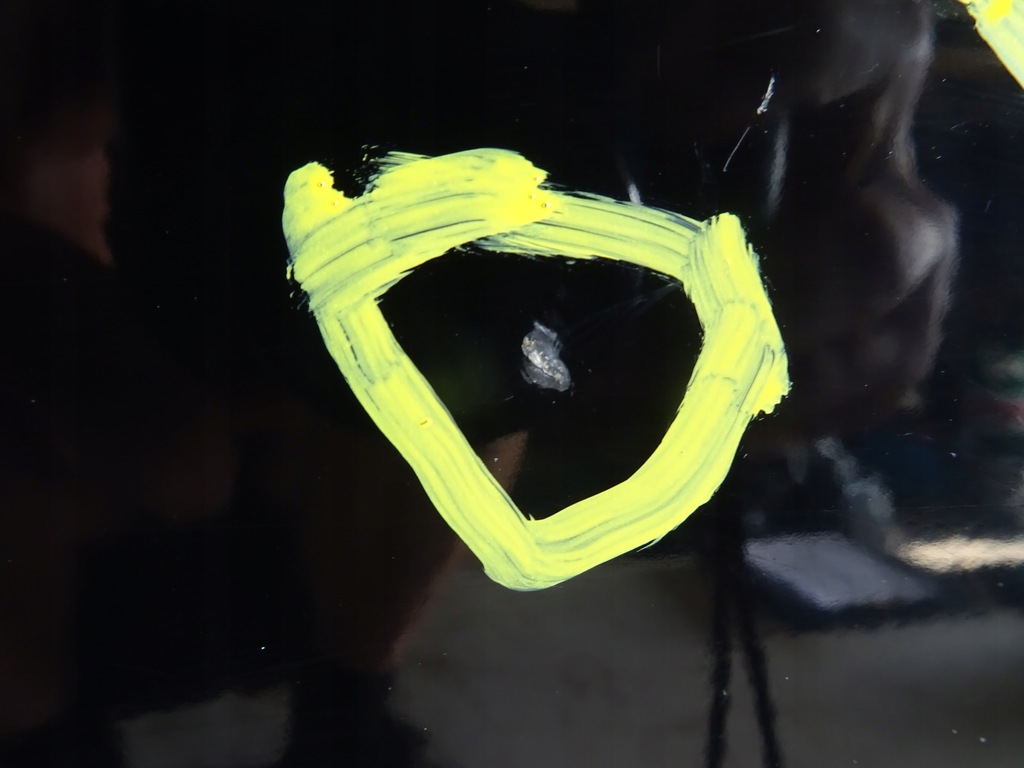 фото №5, Audi a6 c6 праве задні двері