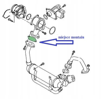 фото №6, Заглушка egr 1.9 2.0 tdi vw jetta touran vento t5 sharan polo golf passat
