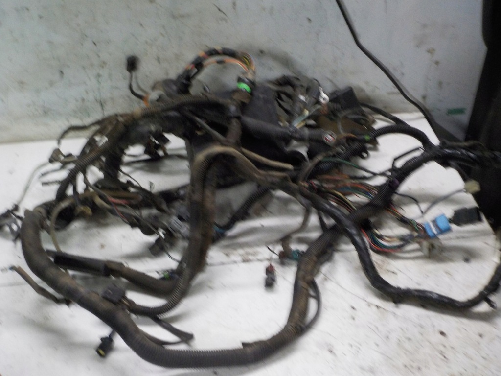 фото №1, Frontera b 2.2 dti электропроводка двигателя