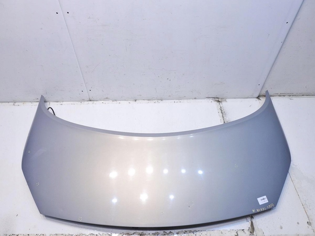 фото №14, Капот tea19 renault scenic ii