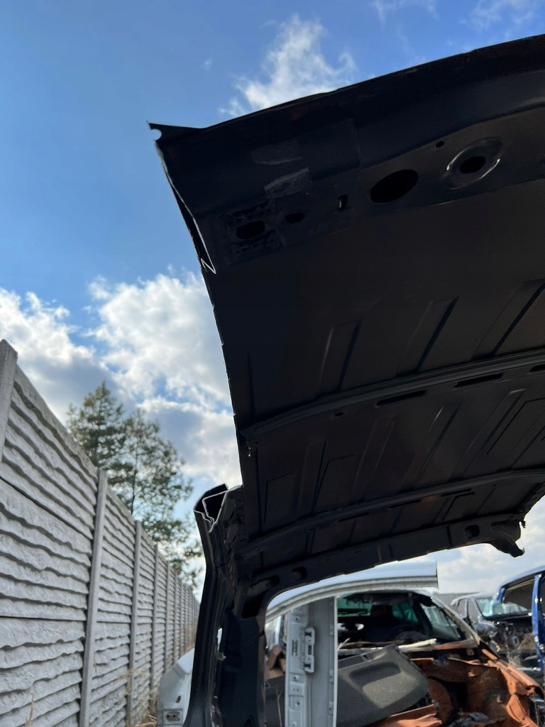 фото №4, Дах обшивка ford ecosport