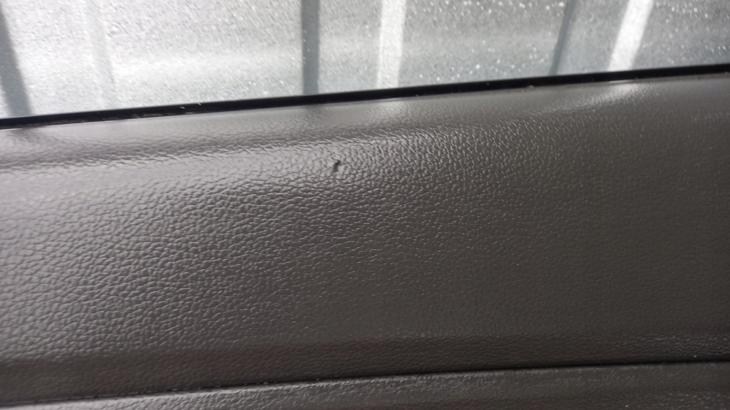 фото №7, Hyundai i30 iii fastback двері правий задня праве задні повний