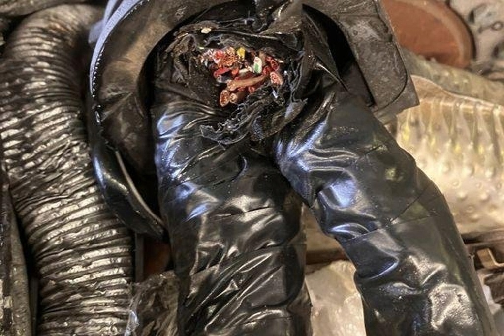 фото №10, Двигун audi a5 f53 cdu 3.0l дизель 2012