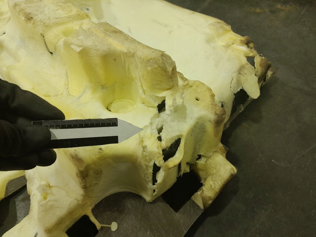 фото №11, Audi q7 ii 4m lift коврик обшивка пол задняя 4m0863019ah