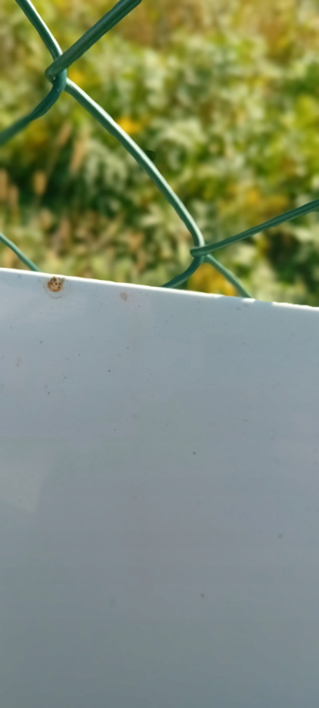 фото №12, Skoda octavia 3 iii капот lf9e