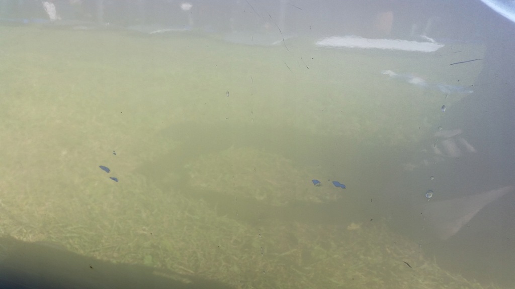 фото №9, Двері p/l перед mazda 6