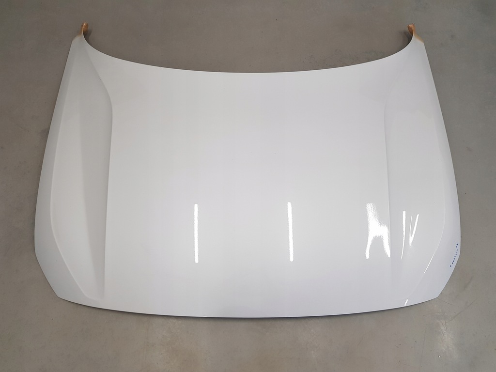 фото №5, Polestar ii капот