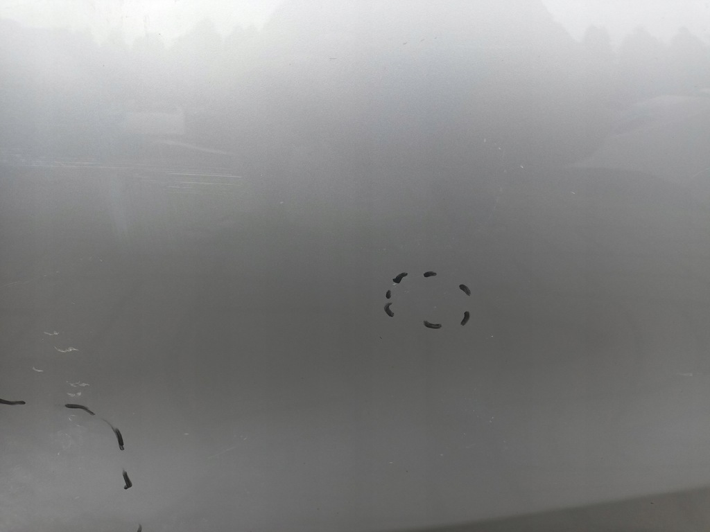 фото №6, Дверь левая задние nissan pulsar задняя левый