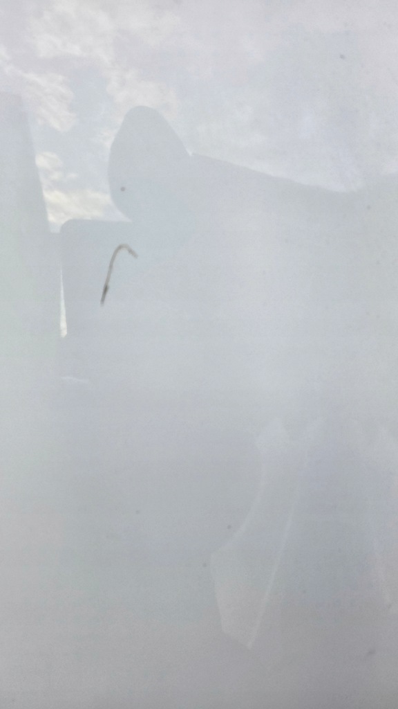 фото №9, Audi a6 c7 4g капот крышка двигателя белый комплектная перед запчасти 4g0010515