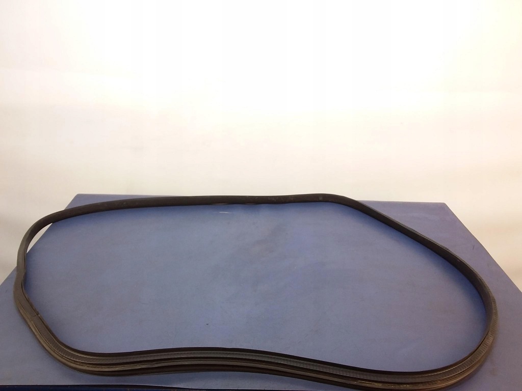 фото №1, Renault megane ib hb прокладка двері правий перед