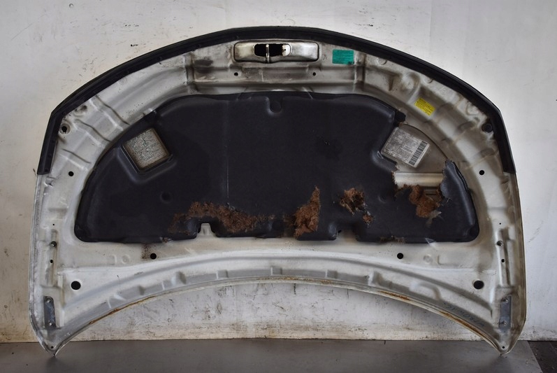 фото №12, Капот крышка двигателя белый nissan murano z50 03-08