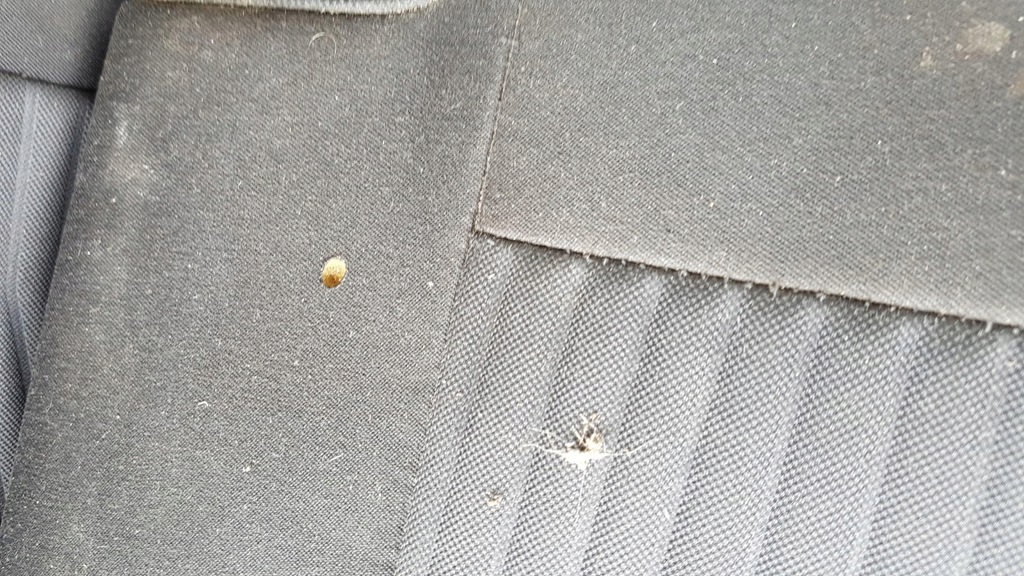 фото №5, Заднее сиденье задняя anglik ford fiesta mk7