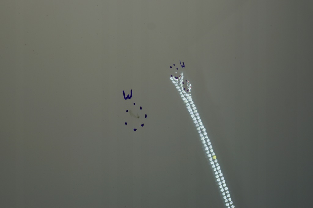 фото №7, Капот крышка двигателя audi a5 8t ly9c