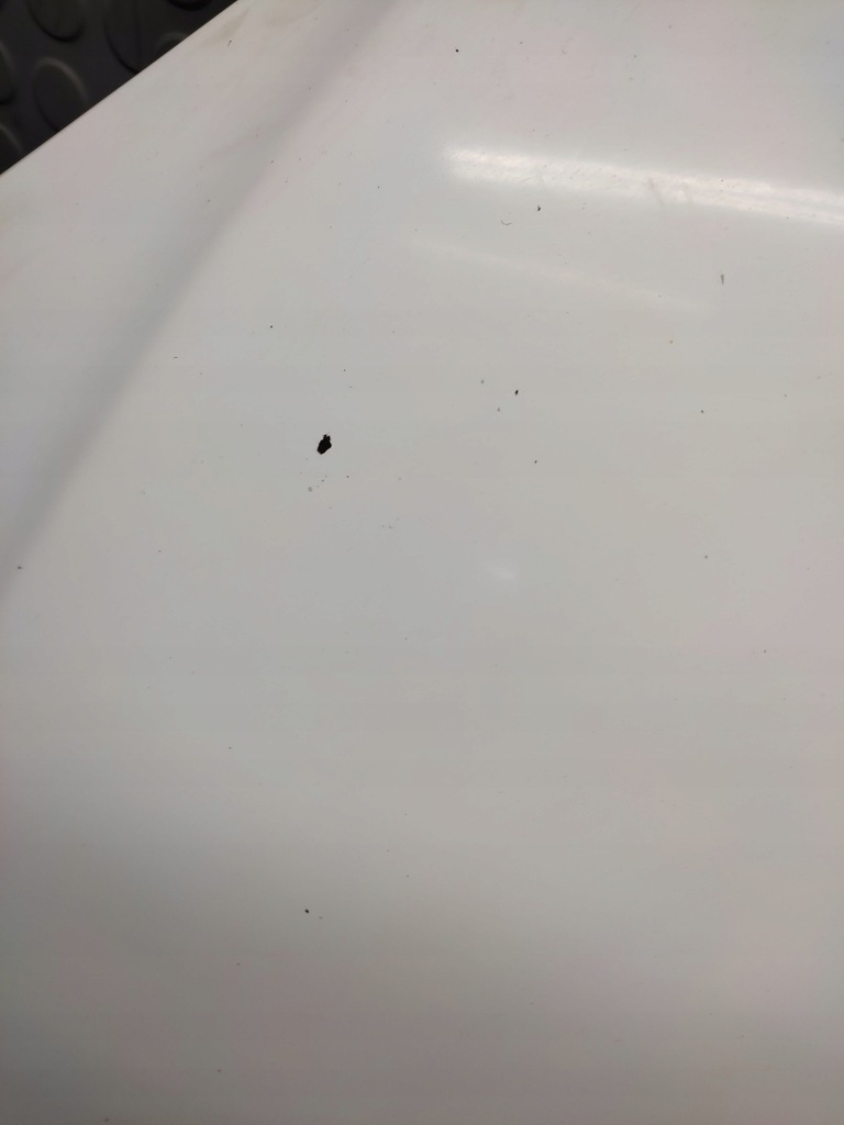 фото №5, Tata indica капот передня