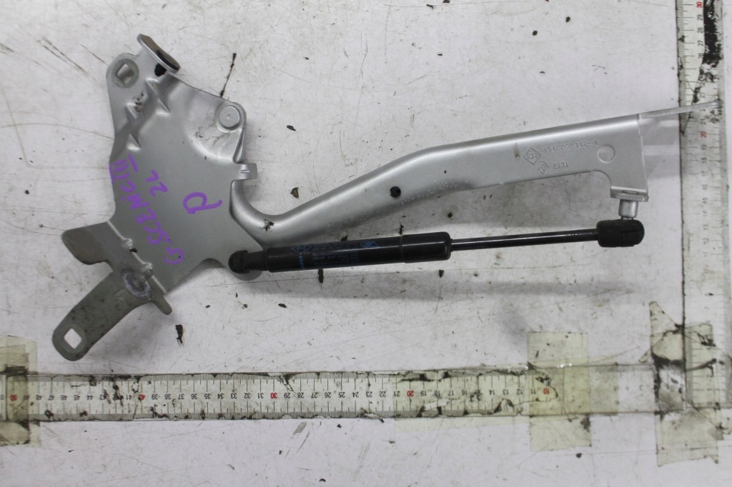 фото №2, Петля петли капот комплект scenic iii ted69 13-