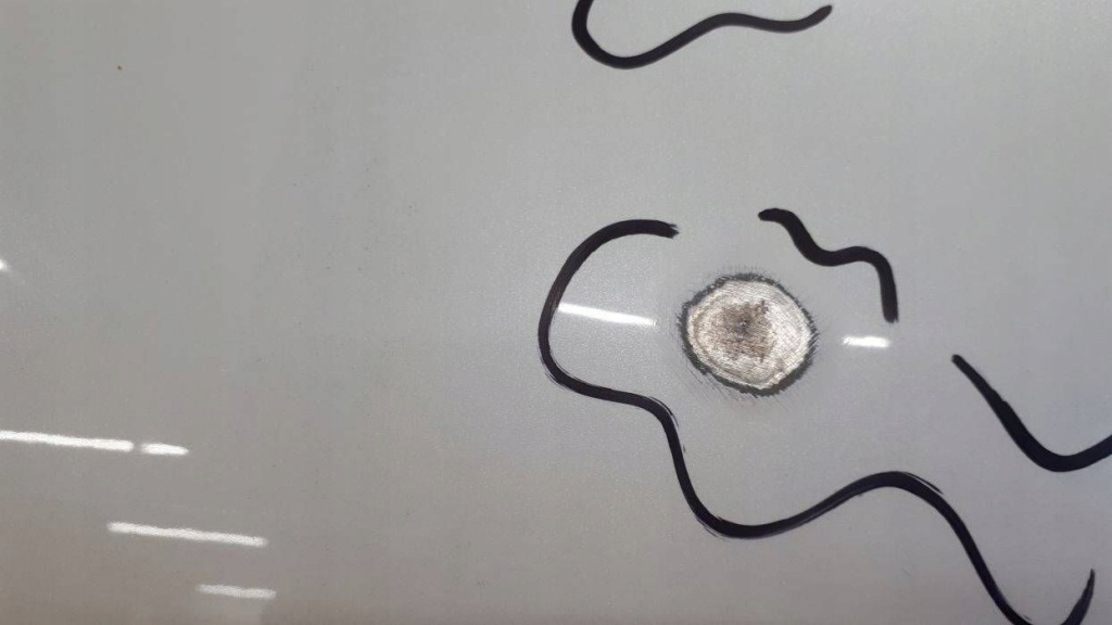 фото №7, Nissan qashqai 2016-2021 lift капот перед f5100hv0ma