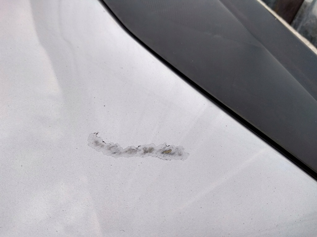 фото №12, Капот крышка двигателя citroen c4 picasso ezrc 6-13