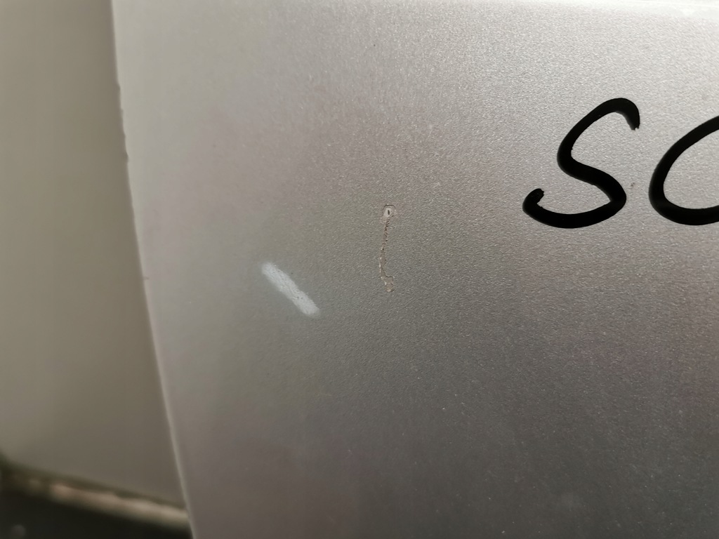 фото №5, Дверь правый перед renault scenic iii ted69