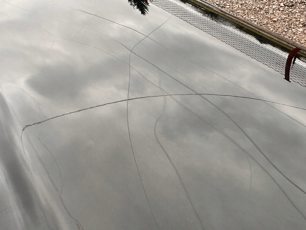 фото №10, Двері перед передні праве chevrolet corvette c5