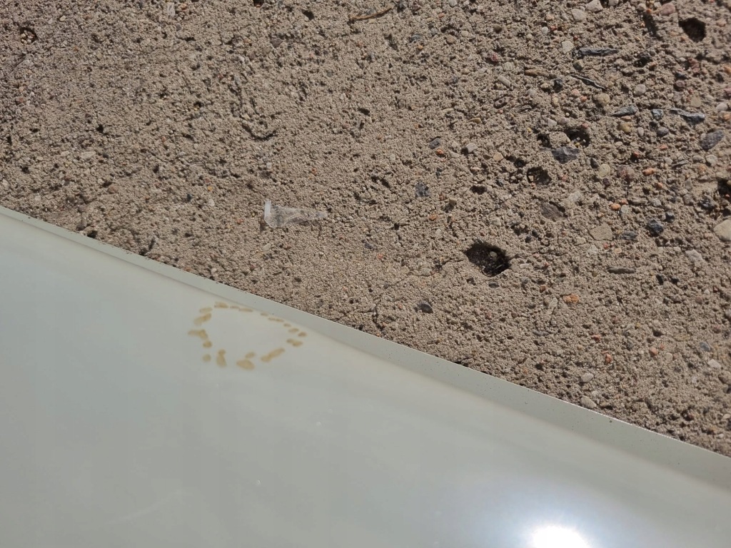 фото №10, Обшивка левая сторона блок двигателя крыло задний hyundai i20 iii 20-