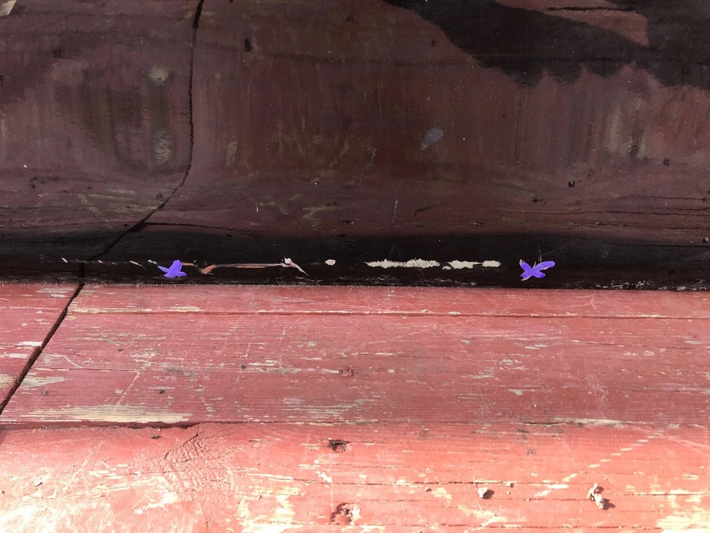 фото №3, Дверь правое перед bmw 5 f10 2010-