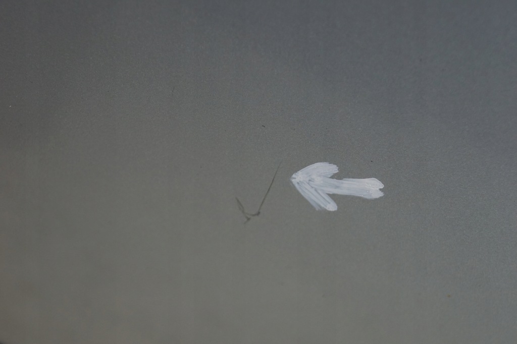 фото №9, Двері правий задня peugeot 207 sw kombi ezrc