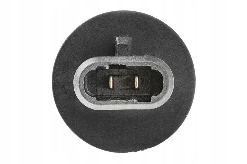 фото №10, Датчик температура повітря впускний