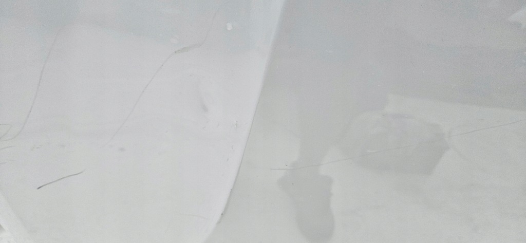 фото №5, Капот кришка двигуна polestar ii 2 2019- orginał