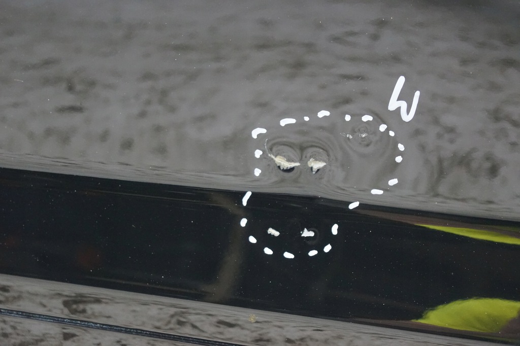 фото №6, Двері лівий задня audi a3 8p lift