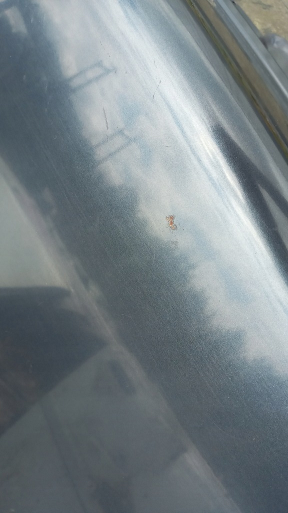 фото №8, Audi a4 b5 sedan кришка багажника задня багажника