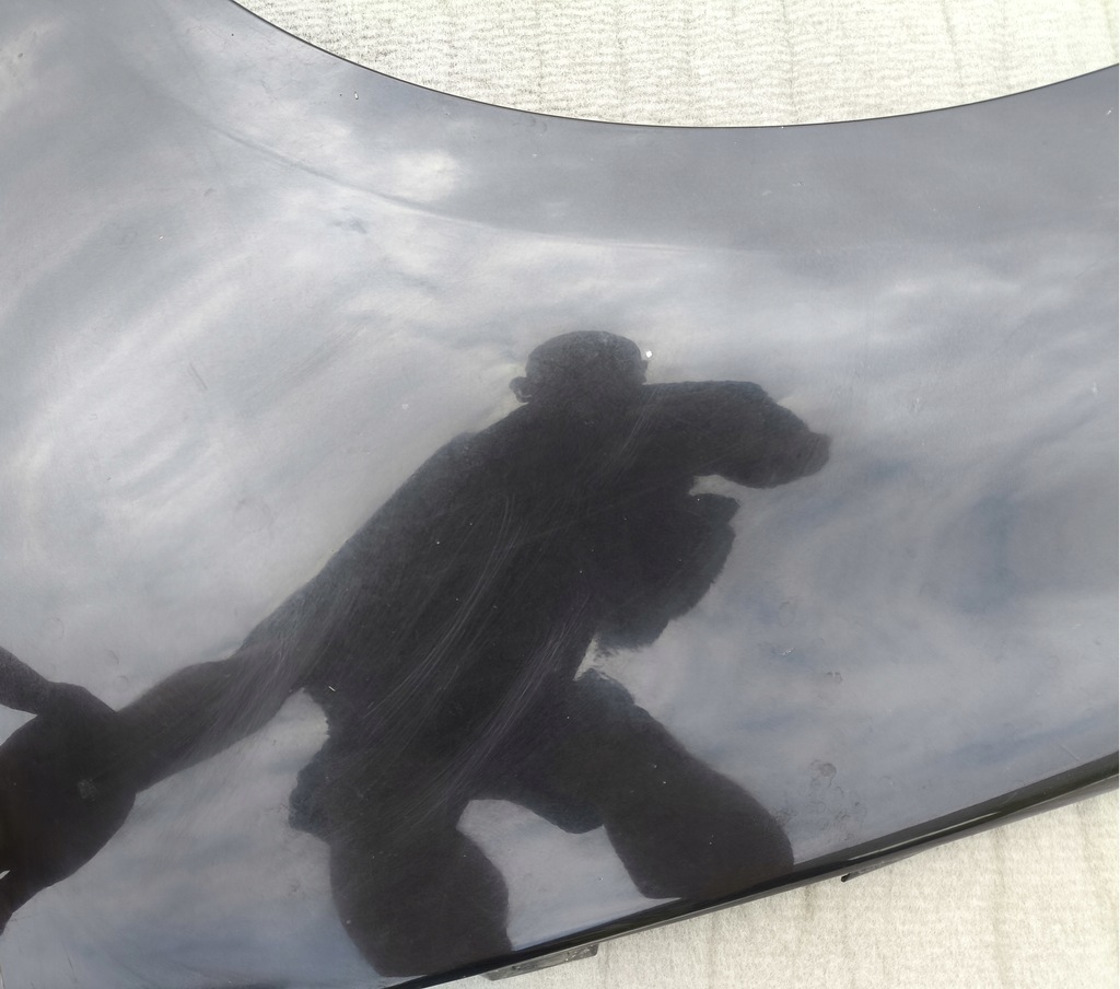 фото №10, Крила лівий перед renault scenic iii