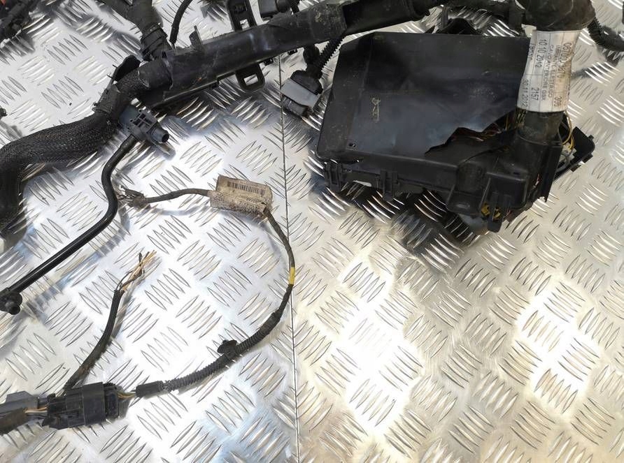 Електропроводка джгут відсік двигуна maserati quattroporte vi 3.8 gts 670007387 Зі Шроту