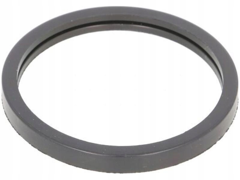 фото №1, Прокладка термостата