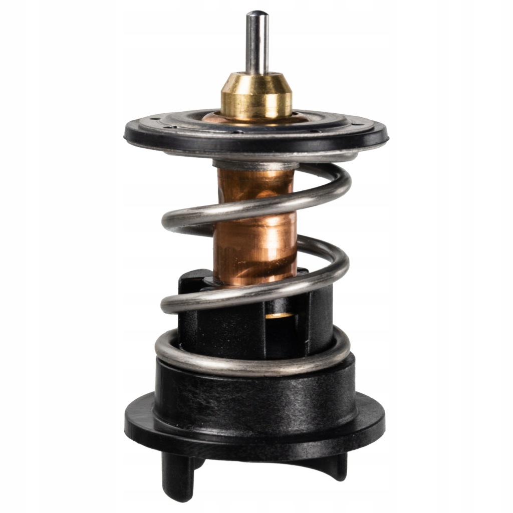 Купить Febi bilstein термостат