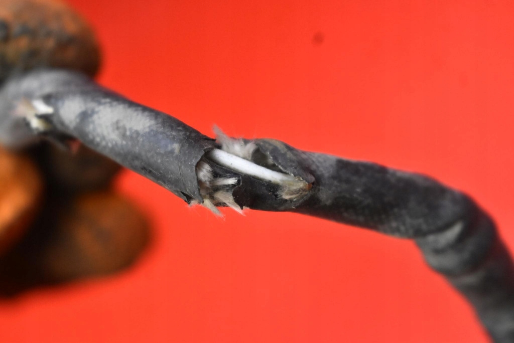 фото №6, Датчик лямбда-зонд 0258986635 honda civic 7 vii 1.6 vtec 03-05