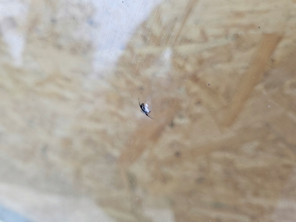 фото №5, Скло передня mercedes w164 ml оригінальна