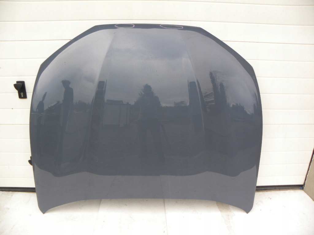 фото №1, Ford mustang mache-e капот передняя